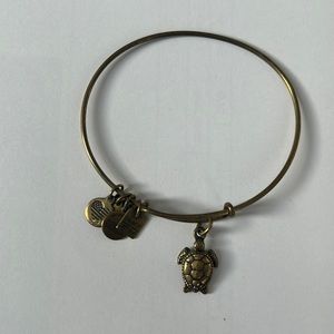 Turtle Alex and ani